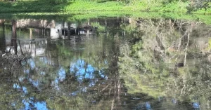 Keith Boden Wetlands