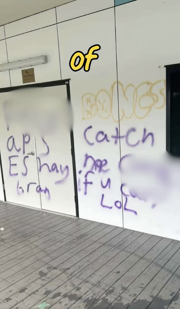 vandalism in Studley Park